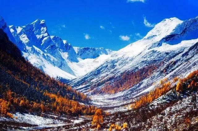 喜羊羊兄妹雪球大战3