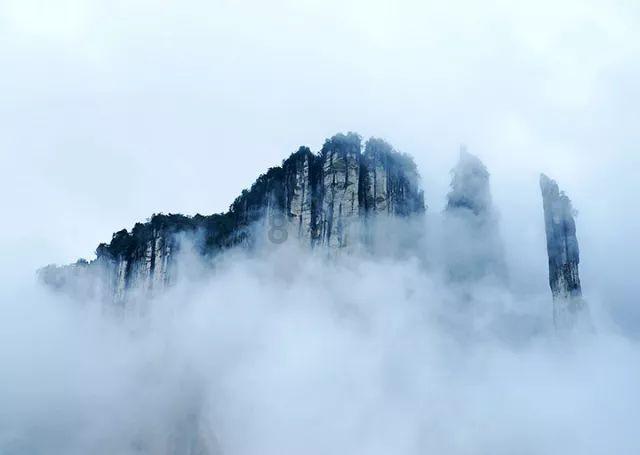 骑士的侍从