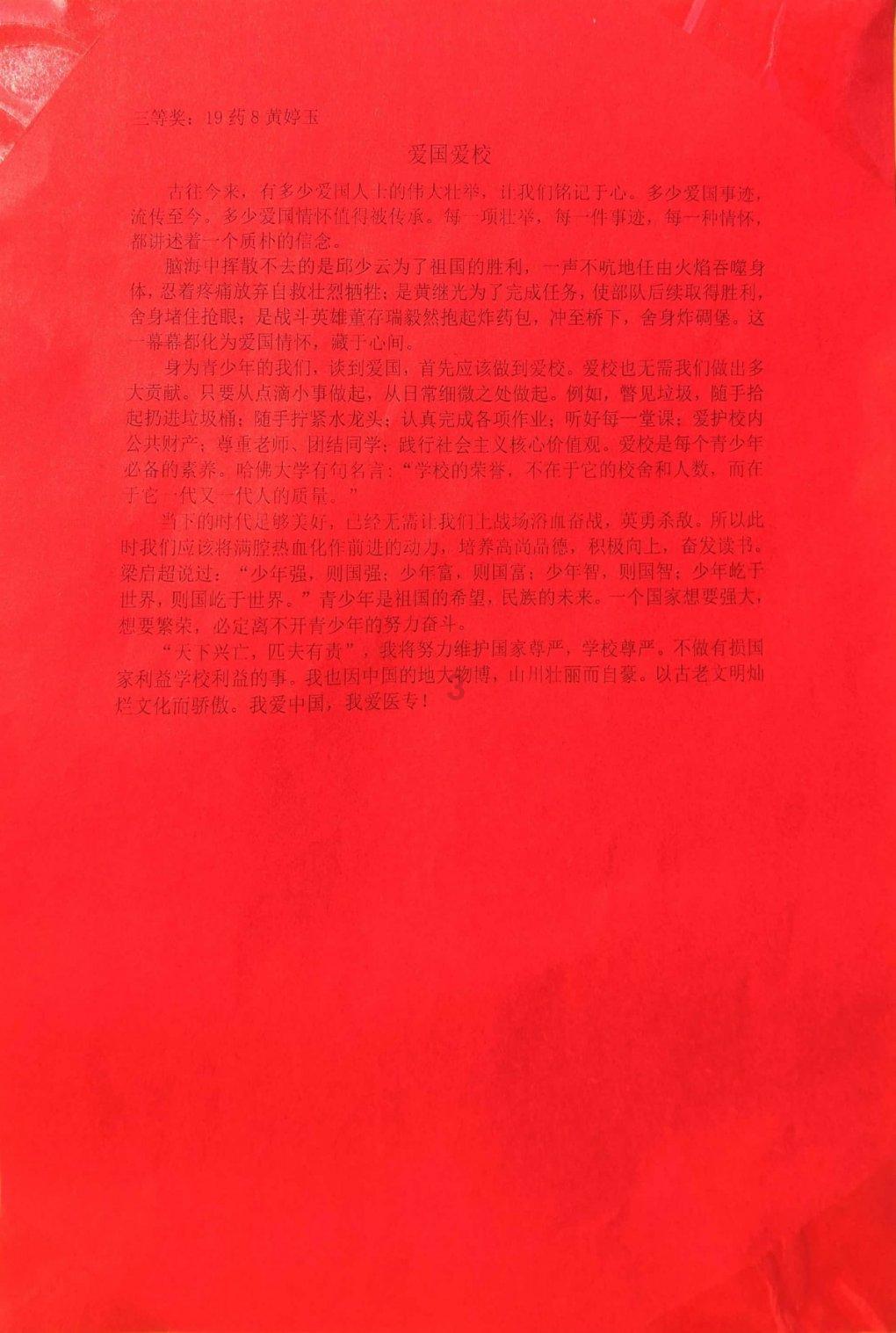 破碎的动物图形3